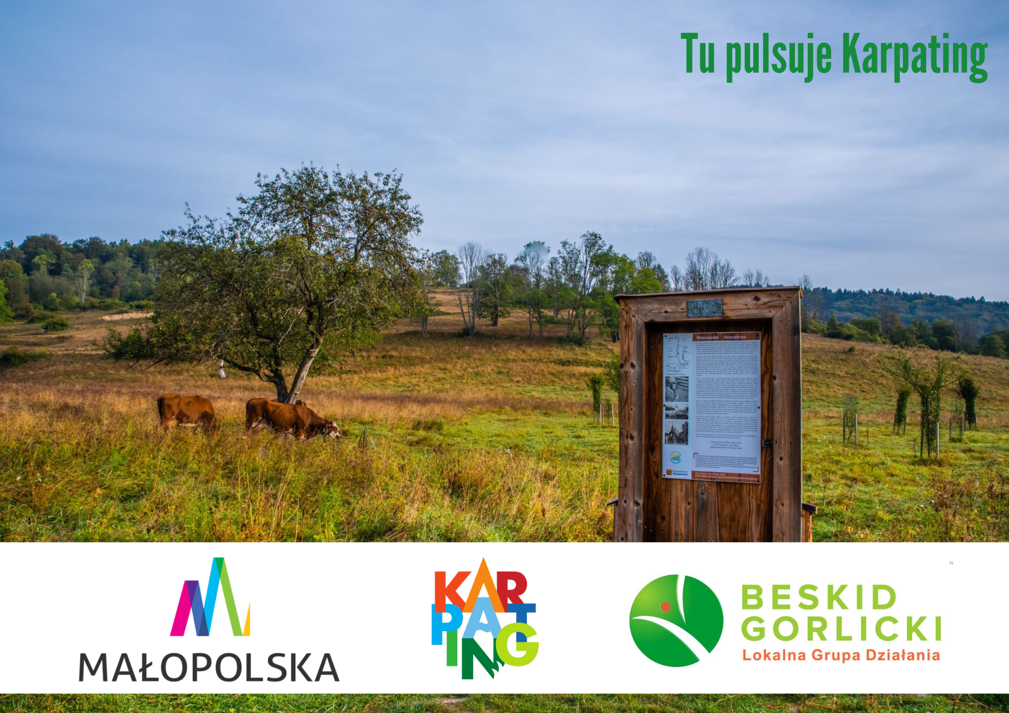 Tu pulsuje KARPATING